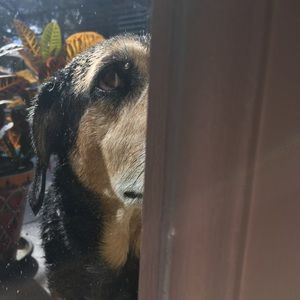 Meet your Posher, Devin